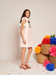 Delice Taffeta Mini Dress Pale Pink / Z