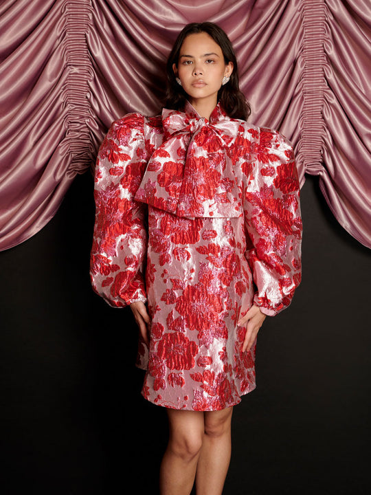 Dolly Jacquard Mini Dress Red & Pink / Z