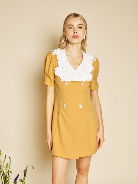 Jewel Canvas Mini Dress Mustard Yellow / Z
