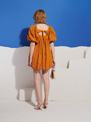 Orange Blossom Mini Dress Burnt Orange / Z