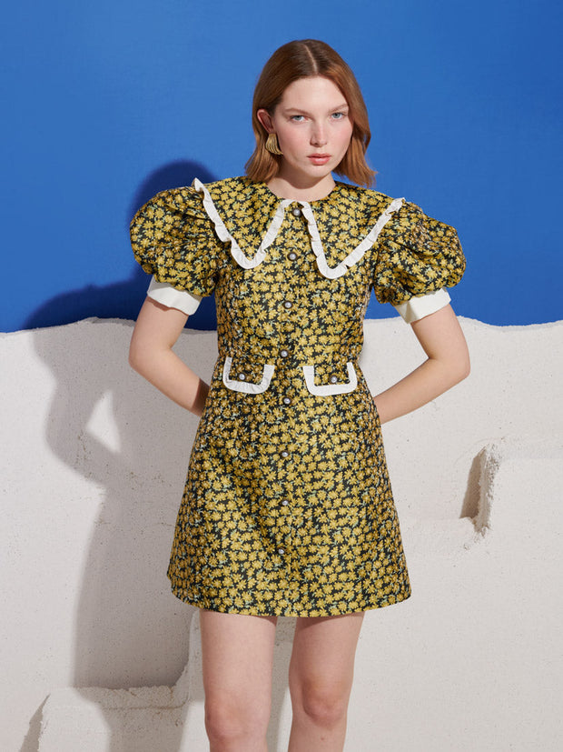 Olive Jacquard Mini Dress Black / Z
