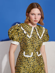 Olive Jacquard Mini Dress Black / Z