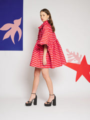 Clara Cherry Jacquard Mini Dress Carmin Red / Z